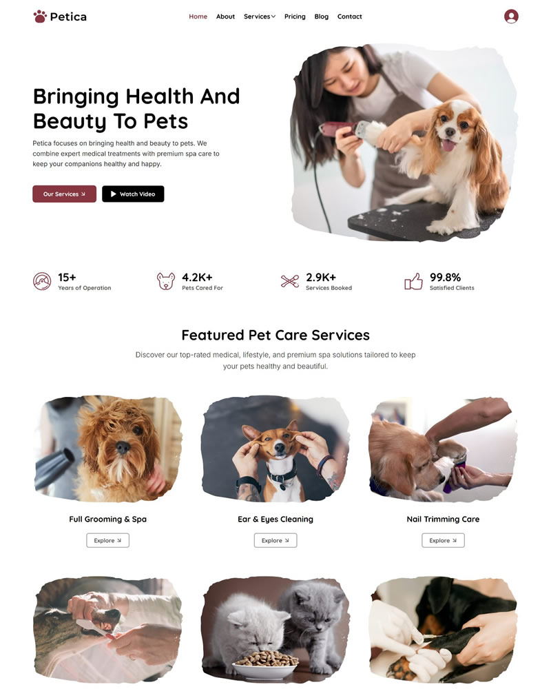 Wix Studio template for Pet Care, Pet Clinics, Pet Training